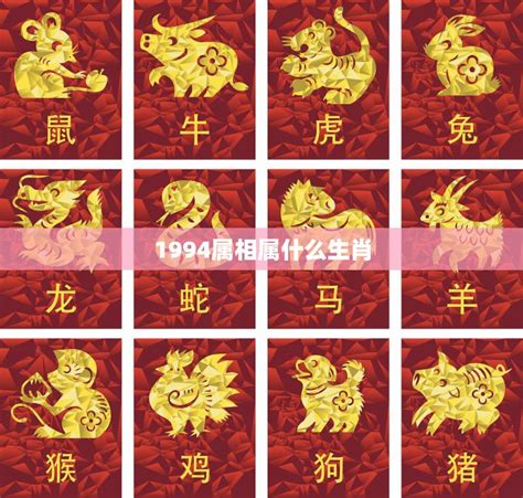 1994年生肖|1994出生属什么生肖查询，1994多大年龄，1994今年几岁